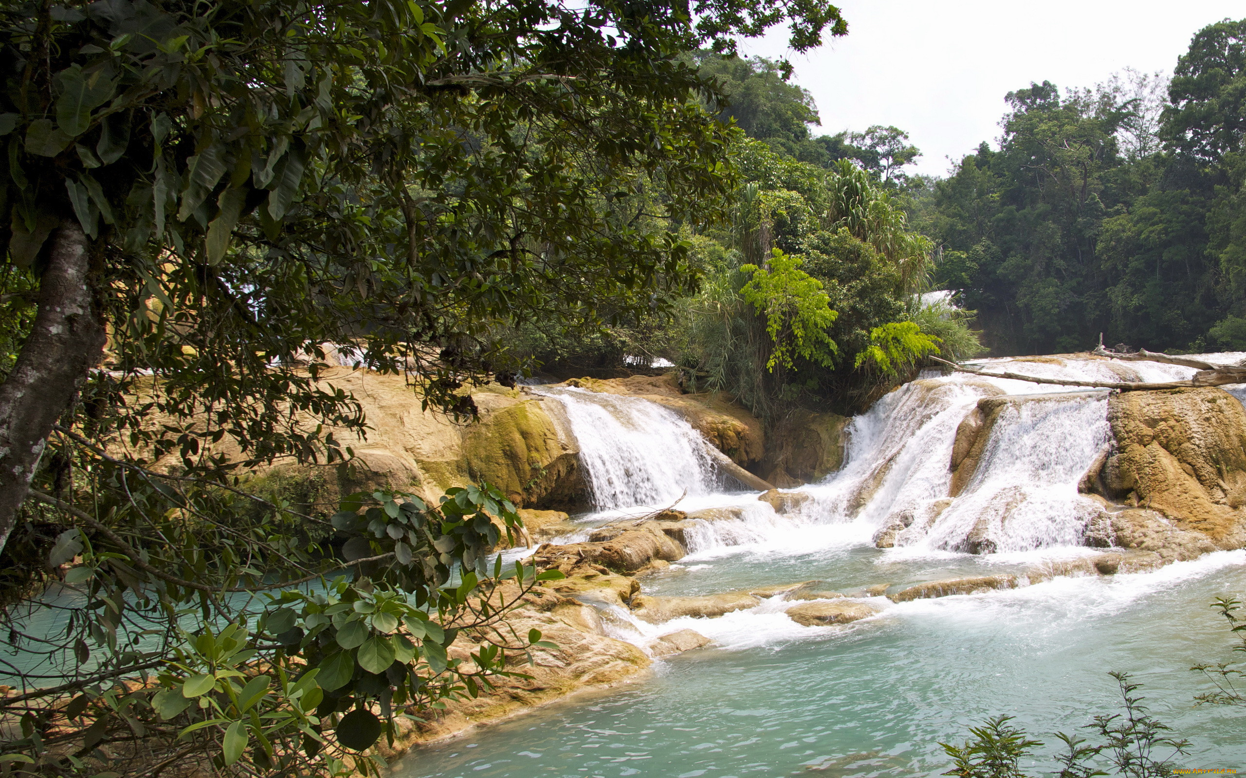 cascadas, de, agua, azul, mexica, , , , , 